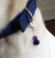Picture of Calm My Pet Pendant for Protection